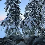 Unique, Modern Designed By Snhetta, Located At Blefjell *