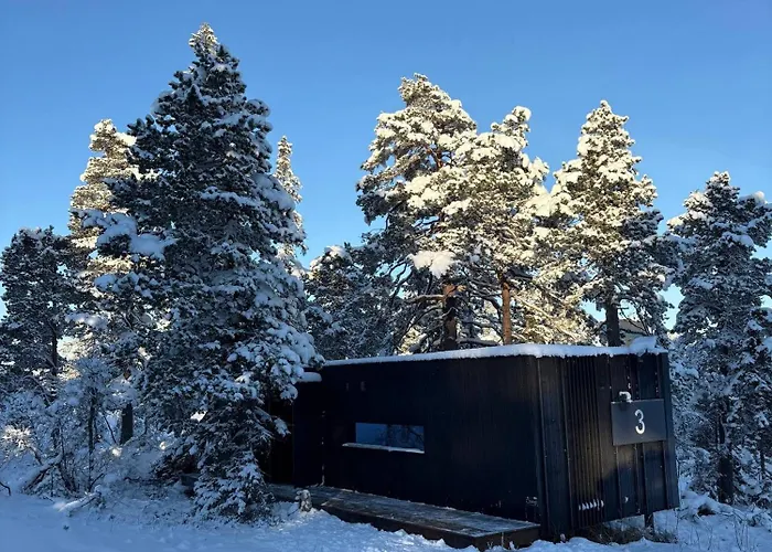 Unique, Modern Designed By Snhetta, Located At Blefjell Feriehus Svene