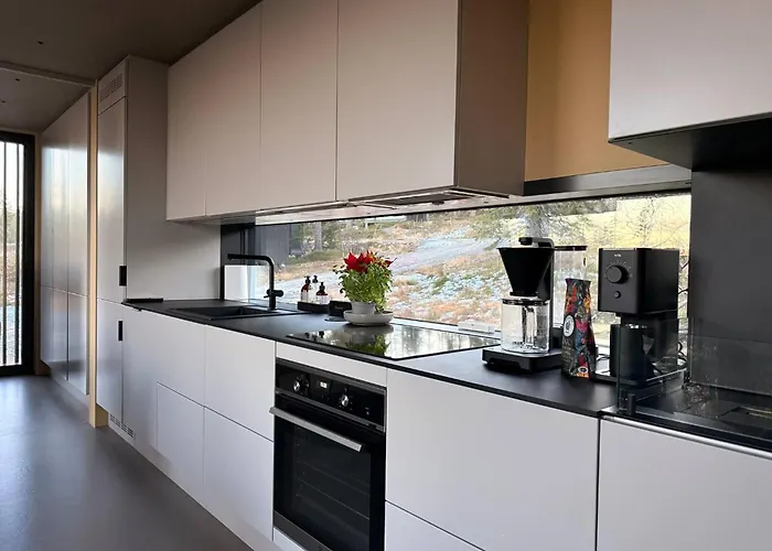 Unique, Modern Designed By Snhetta, Located At Blefjell Svene