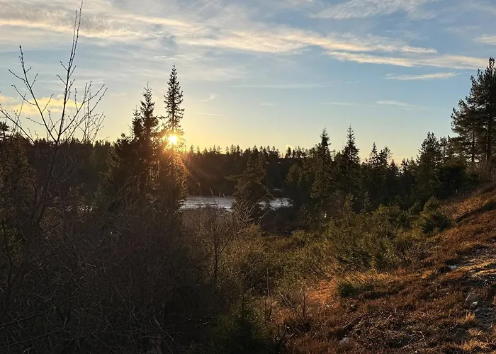 Unique, Modern Designed By Snhetta, Located At Blefjell *